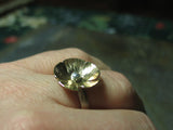 Flower Ring in Sterling Silver and Brass - Sunny Buttercup