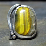 River of the Sun - Bumblebee Jasper artisan ring